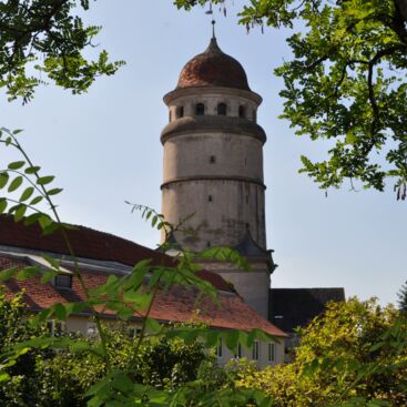 Das Stadtmauermuseum im Löpsinger Tor