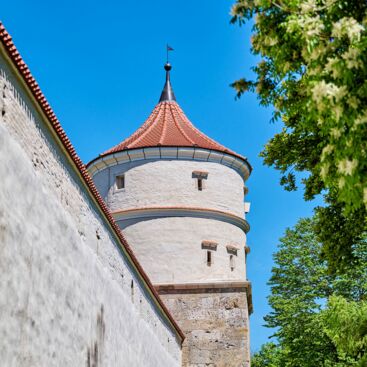 Stadtmauer mit Feilturm