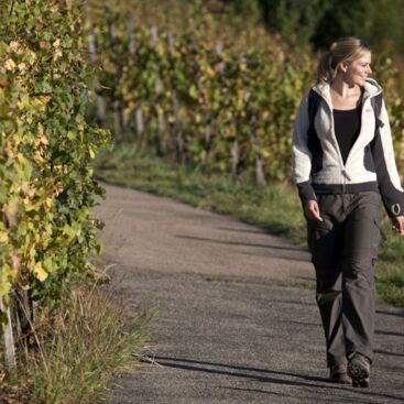 Wandern im Weinberg